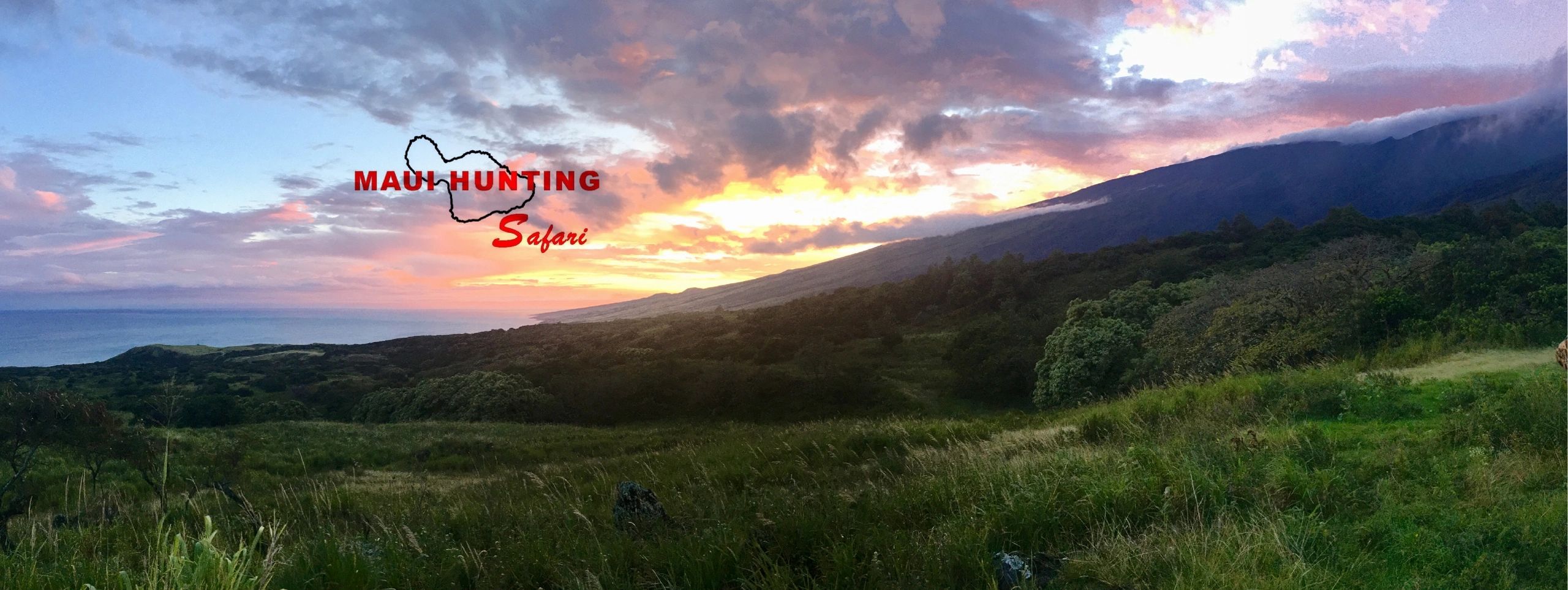 Maui Hunting Safari LLC - Hunt Maui, Hunt Hawaii | Axis Deer Hunting in